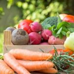 A HEALTHY GUIDE TO GOOD NUTRITION