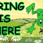 5 Ideas To Spring Again Into Health