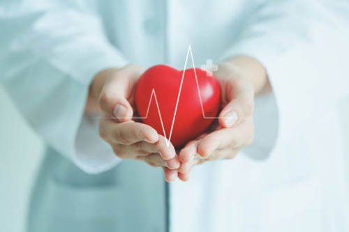 heart rate
